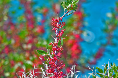 Την Τρίτη υποδεχόμαστε επίσημα την άνοιξη με την εαρινή ισημερία