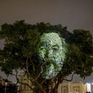 «Το δέντρο που αναβοσβήνει»