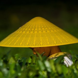 Μια γυναίκα εργάζεται σε μια κοιλάδα μεταξύ της πόλης Zunyi και Maotai στηνεπαρχία Guizhou στην Κίνα