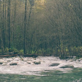 Γιατί να πίνουμε αναψυκτικά με φυσικό μεταλλικό νερό;