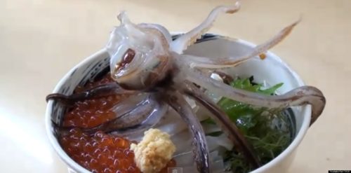 Θα τρώγατε αυτό το πιάτο; (βίντεο)