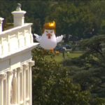 Ένα γιγαντιαίο κοτόπουλο-Τραμπ πετάει πάνω από τον Λευκό οίκο