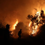 Παντού πάντα κάτι καίγεται σύμφωνα με τον Παγκόσμιο Άτλαντα Πυρκαγιών