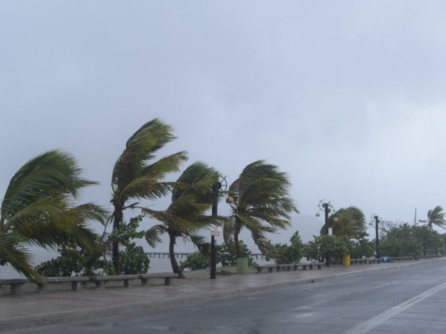 Ποια είναι η «πικρή» αλήθεια πίσω από τους τυφώνες;