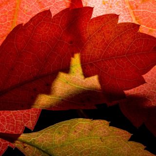 Μπήκε το φθινόπωρο