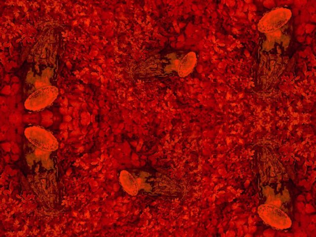 Έρχεται το Artificial Human Vanitas