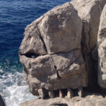 Γνωρίστε τα Beach Creatures στην έκθεση του Parisko