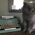 Το σπίτι και μουσείο του Ernest Hemingway έμειναν ανέπαφα από τον τυφώνα «Ίρμα»