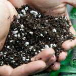 Η 1η Διεθνής Έκθεση Κάνναβης στην Ελλάδα είναι γεγονός!