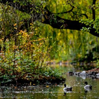 Η ομορφιά του Great Garden park της Γερμανίας