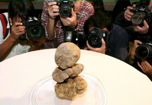 Πανάκριβη λευκή τρούφα 510 γραμμαρίων ανακαλύφθηκε στα ελληνικά βουνά