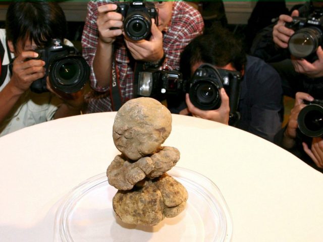 Πανάκριβη λευκή τρούφα 510 γραμμαρίων ανακαλύφθηκε στα ελληνικά βουνά