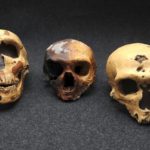 Ο Νεάντερταλ φταίει που δεν μπορείτε να χάσετε το λίπος στην κοιλιά