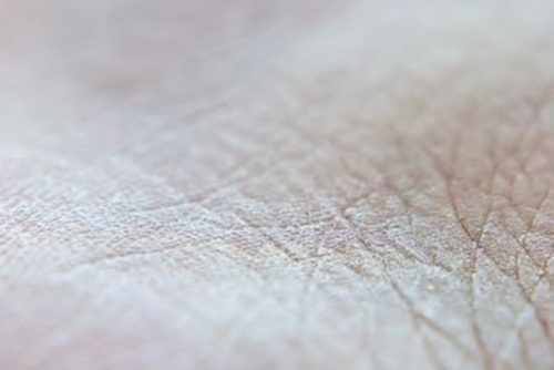 SKIN: Ένα σεμινάριο 12 συναντήσεων μέσα κι ανάμεσα σε δύο κόσμους