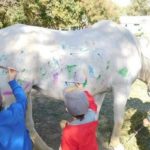 Μηνύσεις για το περιστατικό ζωγραφικής πάνω σε άλογο