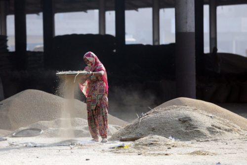 Ινδία: 25 εργάτες- σκλάβοι σώθηκαν από φυτεία