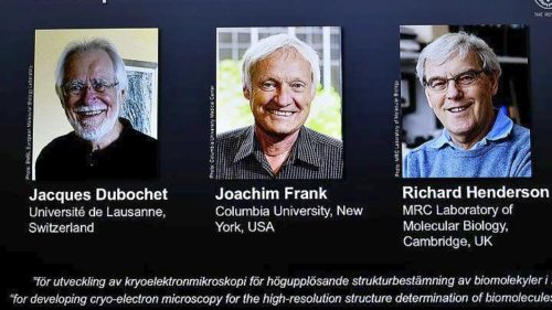 Το Νόμπελ Χημείας σε τρεις επιστήμονες για την ανάπτυξη της κρυο-ηλεκτρονικής μικροσκοπίας