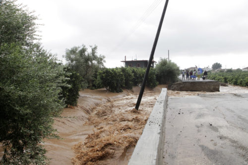 Μάνδρα Αττικής: Σχεδόν άφωνοι έμειναν οι πυροσβέστες με αυτά που είχαν ν’ αντιμετωπίσουν