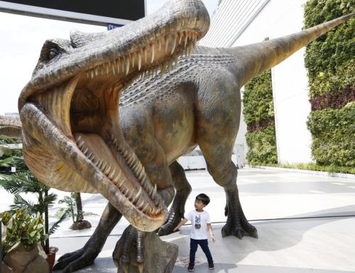 Τα θηλαστικά βγήκαν στο φως της μέρας μετά την εξαφάνιση των δεινοσαύρων