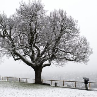 Χιονισμένο τοπίο στην Ελβετία