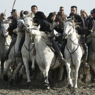 Σε μια περιοχή στην Γαλλία, οι ταύροι δεν μένουν στην αρένα…