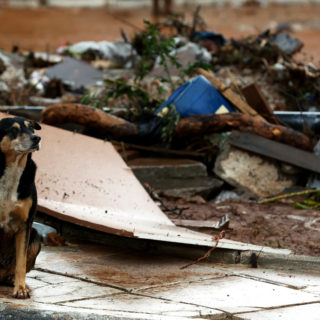 Σώοι δύο από τους αγνοούμενους