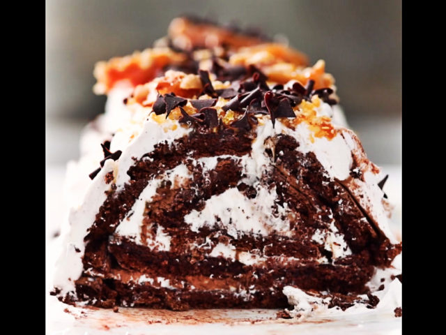 Τέτοιον κορμό δεν έχετε ξαναφάει [ΒΙΝΤΕΟ]