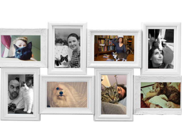 Τι μάθατε ζώντας με τον Όλιβερ, την Κούκι, τον Σνούπι και την Ιρίνα;