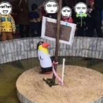 Περίμεναν να δουν άγρια ζώα και τελικά είδαν φουσκωτά κουκλάκια σε ζωολογικό κήπο στην Κίνα [ΕΙΚΟΝΕΣ]