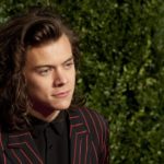 Χάρι Στάιλς: Από τους One Direction στον Τζέιμς Μποντ
