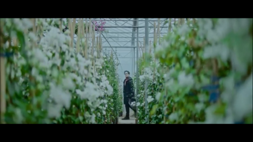 Το νέο video clip του Leon Of Athens είναι μία “Utopia” από φυτά (ΒΙΝΤΕΟ)