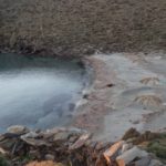 Τι συμβαίνει με τις αγελάδες και ταύρους που βρίσκονται στις ακτές των Κυκλάδων;