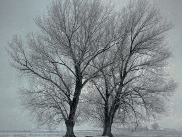 Μαζί το καλοκαίρι του 2018 Σωκράτης Μάλαμας και Θανάσης Παπακωνσταντίνου