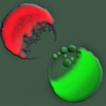 Στον μεγάλο πόλεμο στον κόσμο των βακτηρίων έριξε φως Ελληνίδα ερευνήτρια