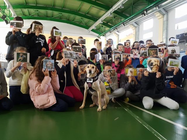 Σε ποιες Ζω.Ε.Σ. έδωσε πνοή η Κατερίνα Παπαποστόλου;