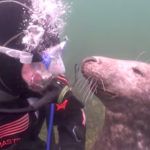 Ένας δύτης εξερευνούσε τη θάλασσα όταν ξαφνικά μία φώκια του έπιασε το χέρι… [ΒΙΝΤΕΟ]