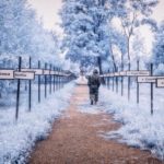 Φωτογραφίες από την κόλαση του Τσερνόμπιλ