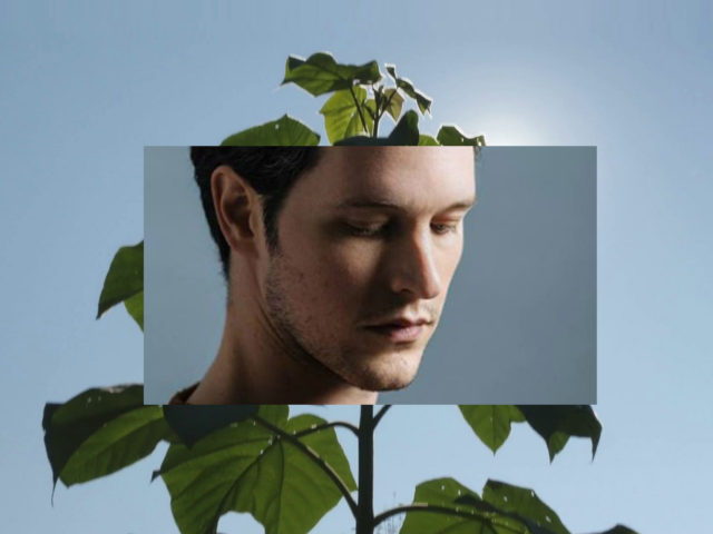 O Leon Of Athens έχει γίνει λιώμα… παραπαίει