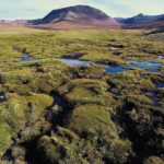 ΜΚΟ Fern: «Η ΕΕ δεν πρέπει να “ξεπλύνει” τη μελλοντική καταστροφή του Αμαζονίου»