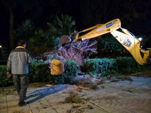 Ζημιές προκλήθηκαν τα ξημερώματα στο Ναύπλιο εξαιτίας ισχυρών ανέμων [ΕΙΚΟΝΕΣ]