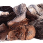 Το Σαν Φρανσίσκο απαγορεύει τη γούνα από την 1η Ιανουαρίου 2019