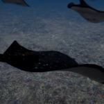 Στην υπηρεσία του τουρκικού στρατού υπάρχει ένα… σαλάχι-κατάσκοπος [ΒΙΝΤΕΟ]