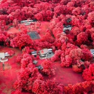 Ένας καλλιτέχνης μετατρέπει τη Σιγκαπούρη σε μία ονειρική, κόκκινη φαντασμαγορία [ΕΙΚΟΝΕΣ]