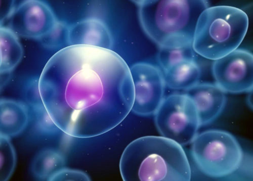 Πάνω από το 50% των ανθρώπινων κυττάρων ανήκουν σε μικρόβια!