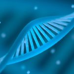 Τεστ DNA έφεραν στο φως μία αρχαία κοινότητα ανδρών στη βορειοδυτική επαρχία Σαανσί της Κίνας