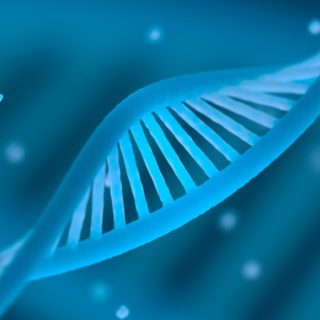 Τεστ DNA έφεραν στο φως μία αρχαία κοινότητα ανδρών στη βορειοδυτική επαρχία Σαανσί της Κίνας