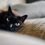 Αυτά τα 8 συμβάντα θα σε πείσουν να μείνεις σπίτι σήμερα Παρασκευή και 13