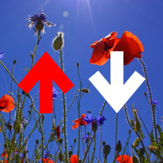 ΟΛΑ POPA #55: Ούτε τη Μεγάλη Εβδομάδα δεν μπορούμε ν’ αγιάσουμε