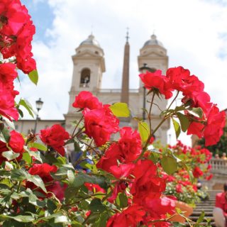 Η άνοιξη ανθίζει τις μεγάλες πόλεις του κόσμου
