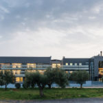 The Bean, the Blend, the Barista:  Το τρίπτυχο επιτυχίας για την KAFEA TERRA